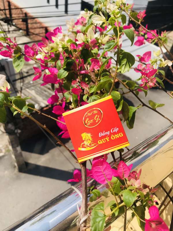 Bột Sìn Sú 5gr - Cương Dương Kéo Dài Thời Gian Quan Hệ Cho Nam Giới