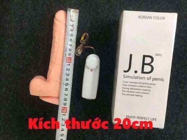 Dương Vật giả Jb rung ngoáy giá rẻ chạy pin dễ sử dụng cho nữ giới